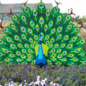 Meet your Posher, Joy